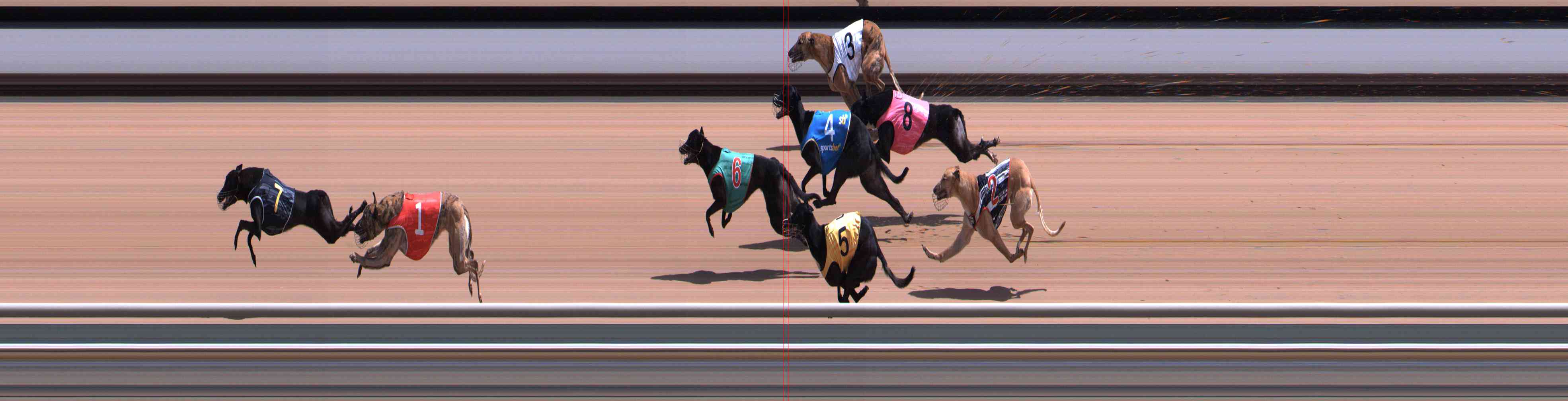 Photo finish for Healesville Race 9