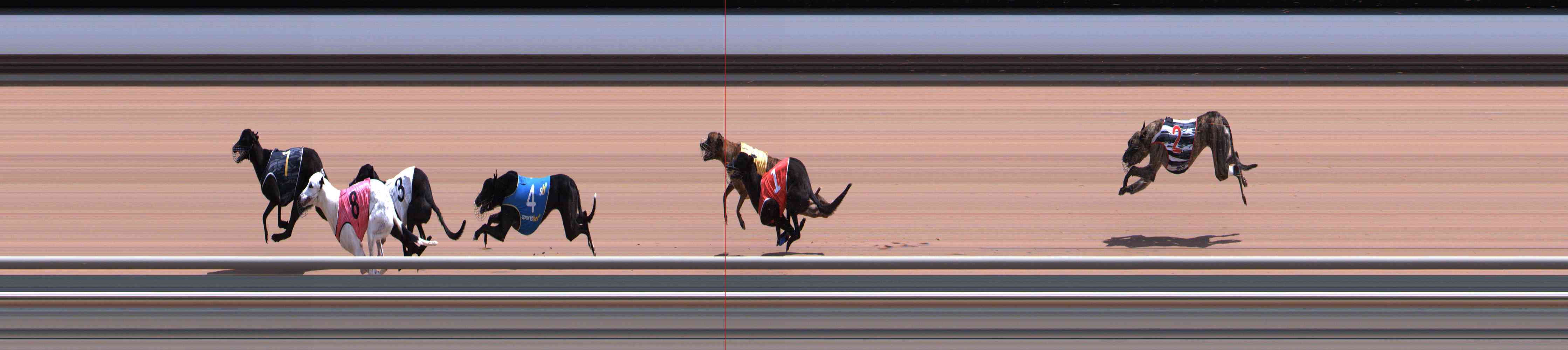 Photo finish for Healesville Race 10