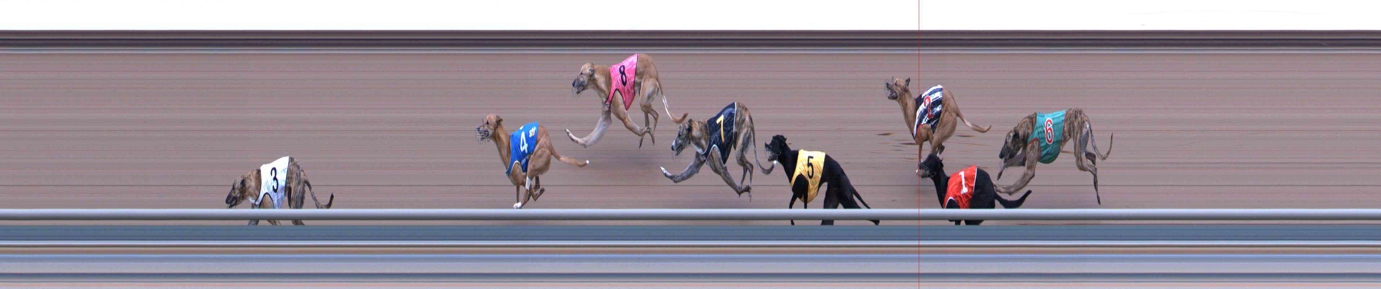 Photo finish for Healesville Race 11