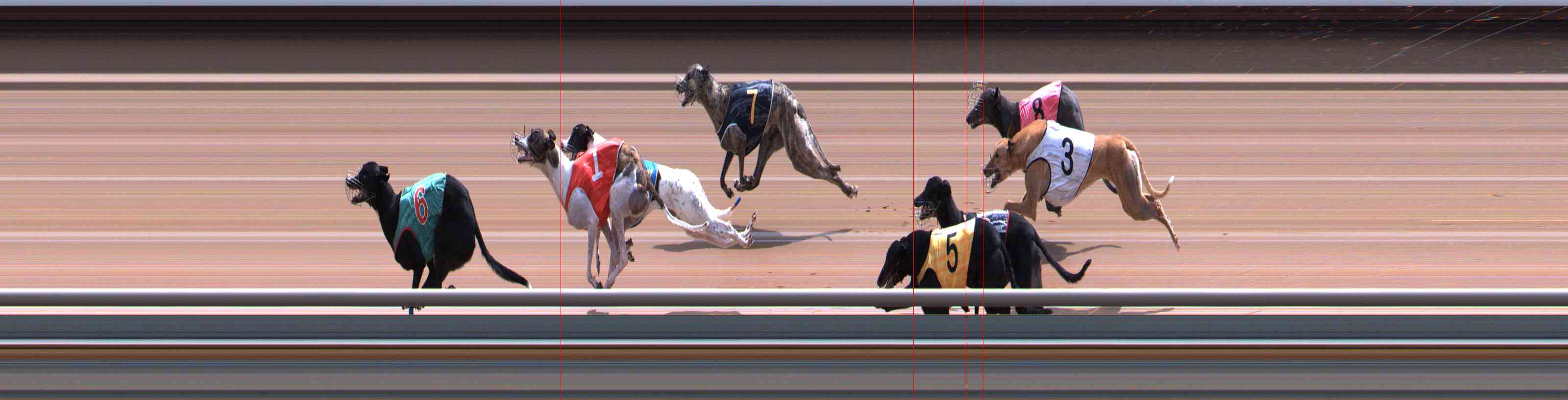 Photo finish for Healesville Race 12