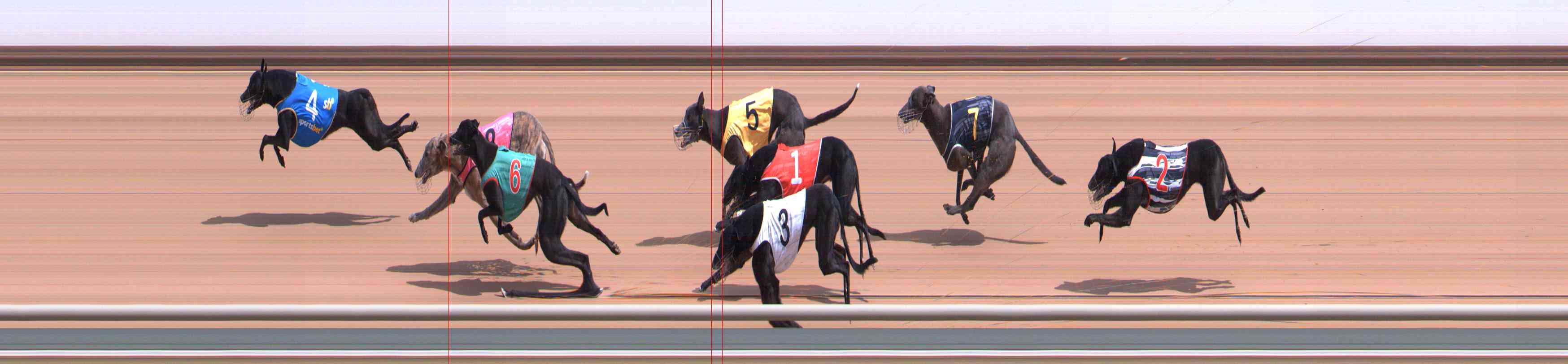 Photo finish for Healesville Race 2