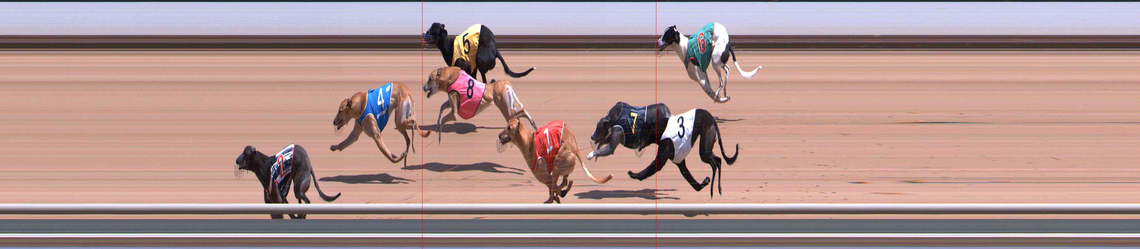 Photo finish for Healesville Race 3