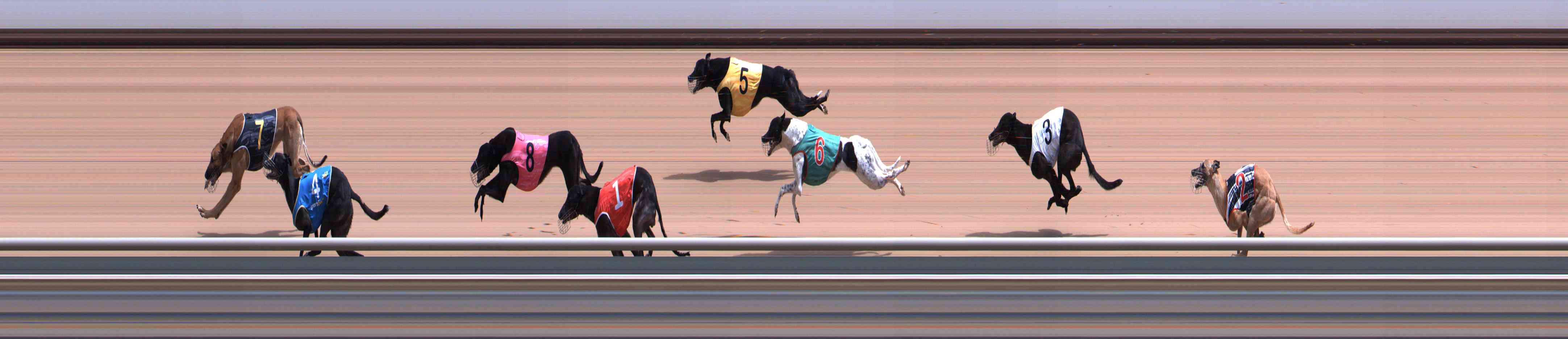 Photo finish for Healesville Race 4