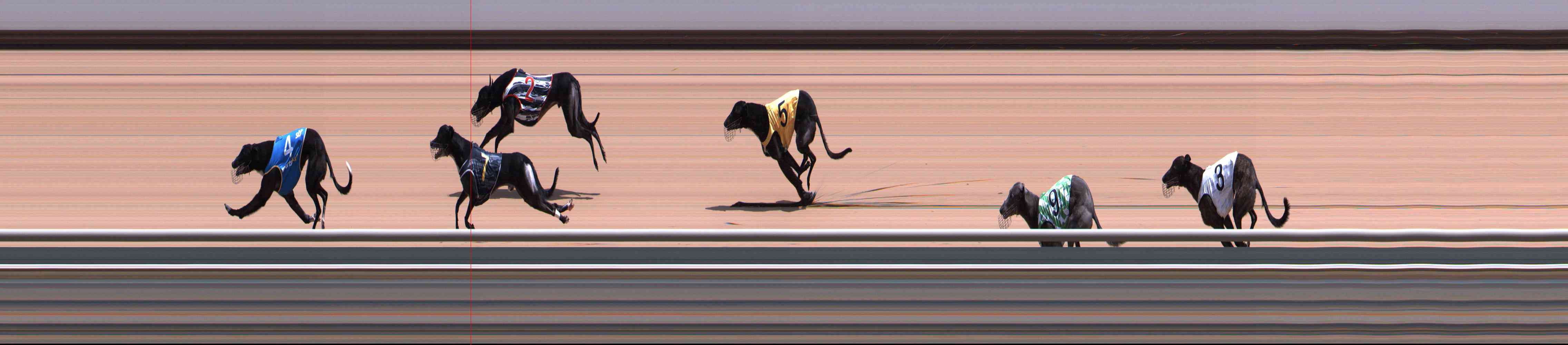 Photo finish for Healesville Race 5