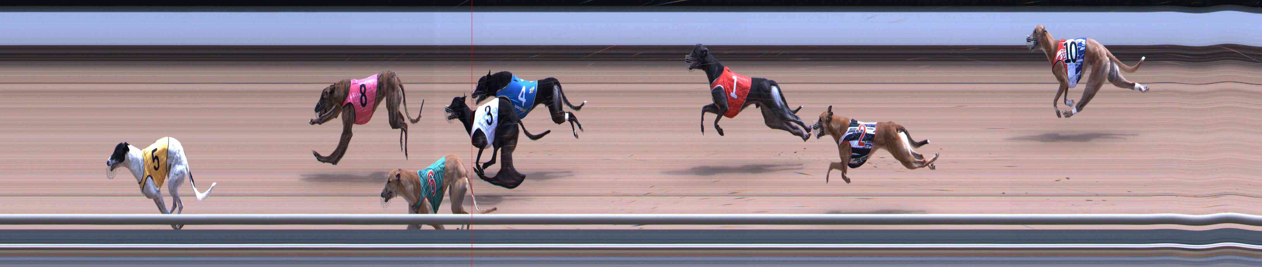 Photo finish for Healesville Race 6