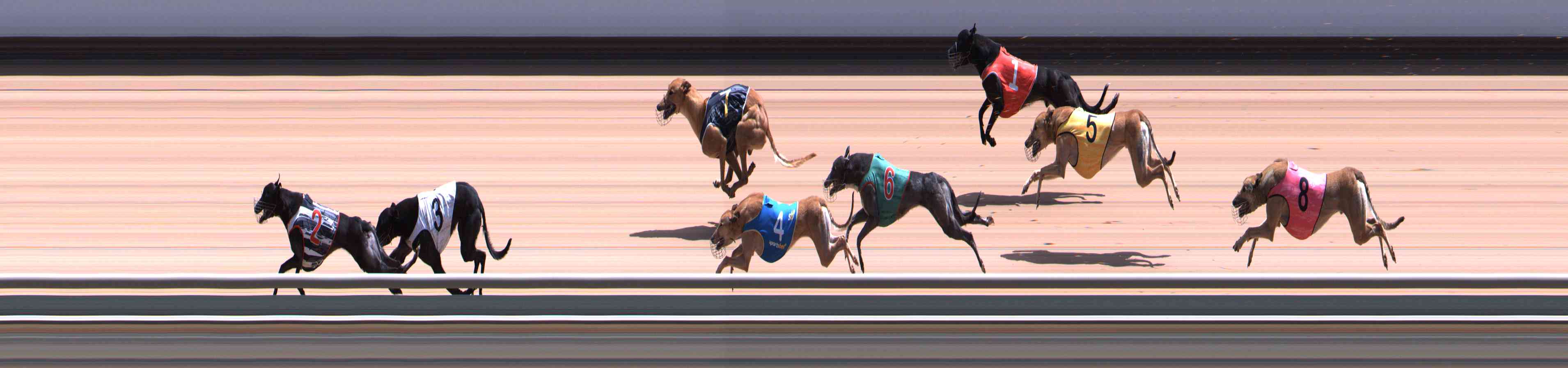 Photo finish for Healesville Race 7