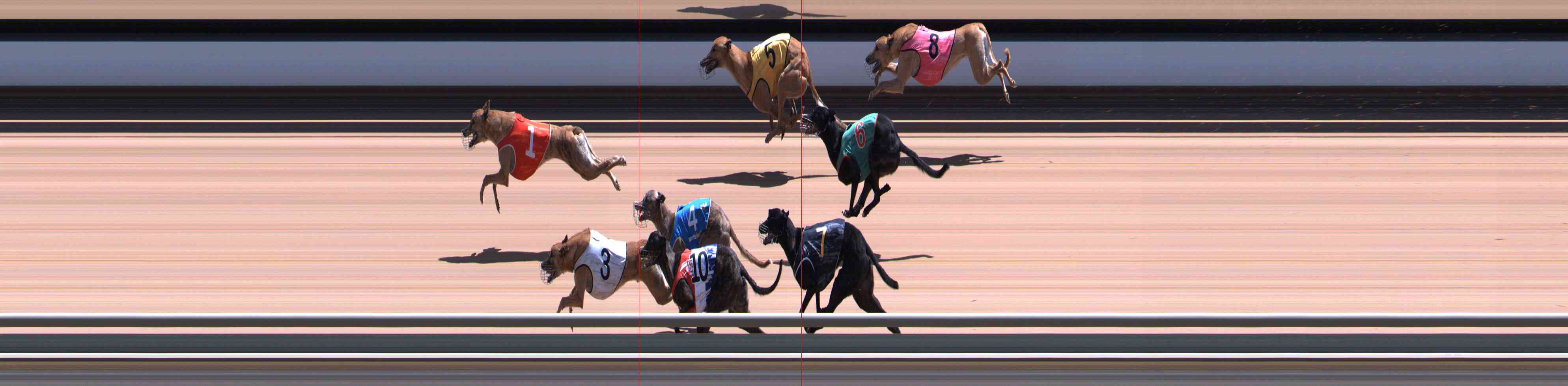 Photo finish for Healesville Race 8