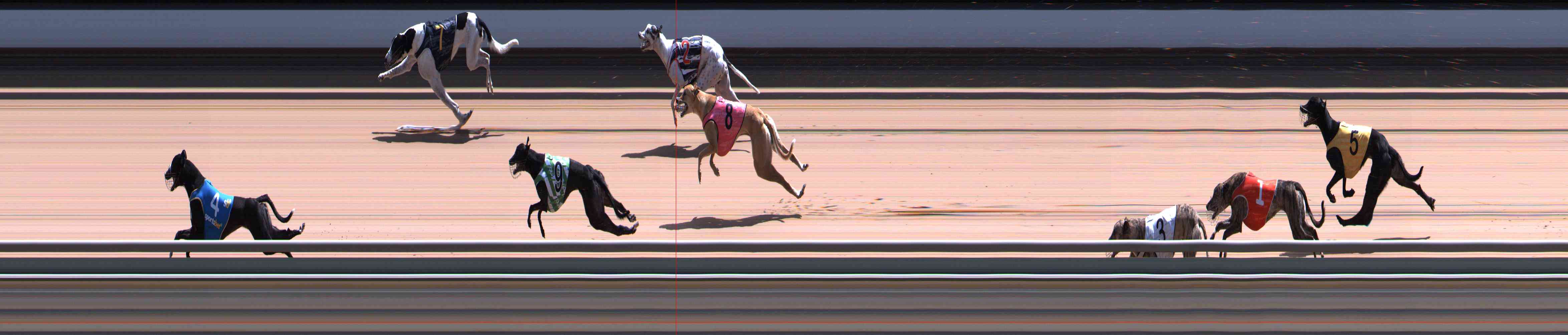 Photo finish for Healesville Race 10