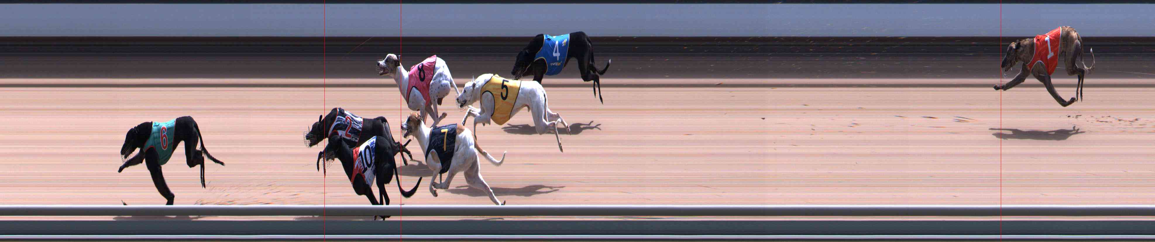 Photo finish for Healesville Race 11