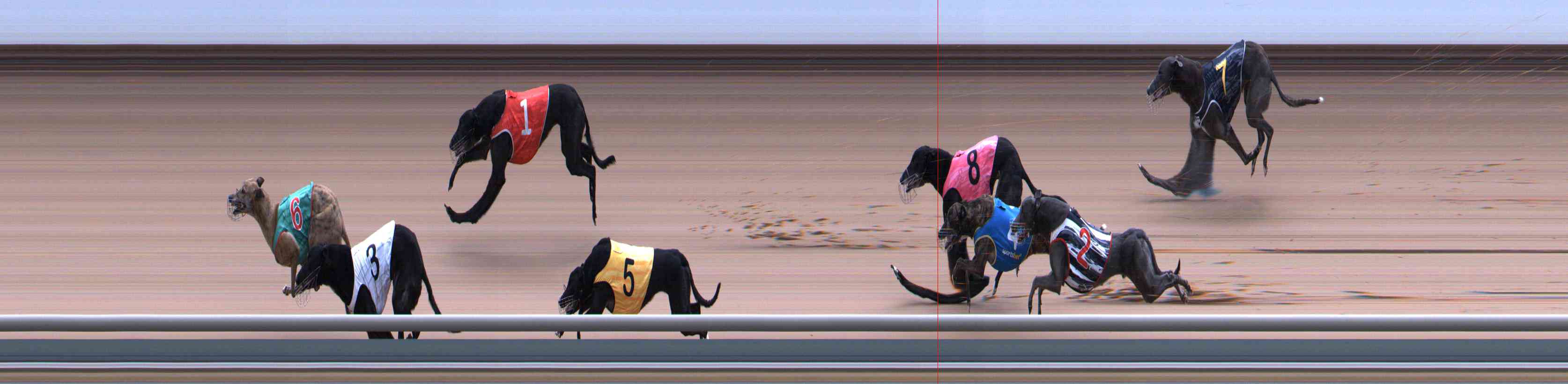 Photo finish for Healesville Race 12