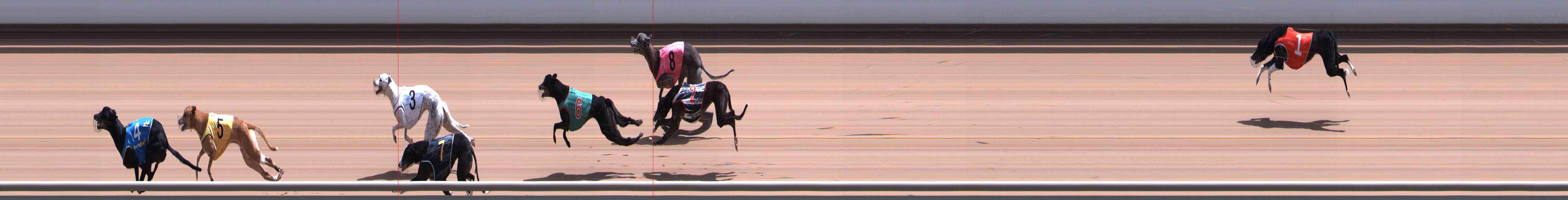 Photo finish for Healesville Race 10