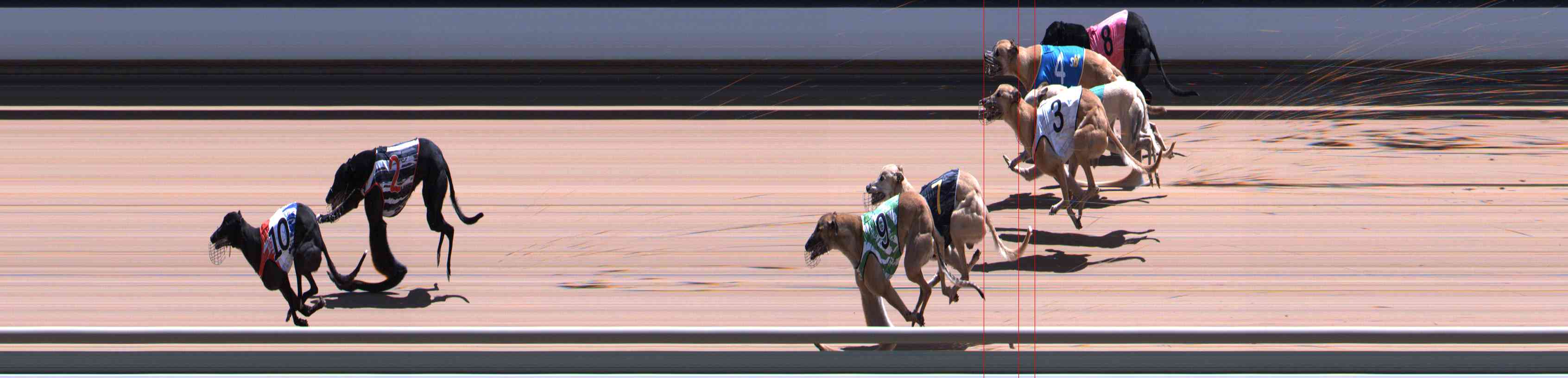 Photo finish for Healesville Race 11