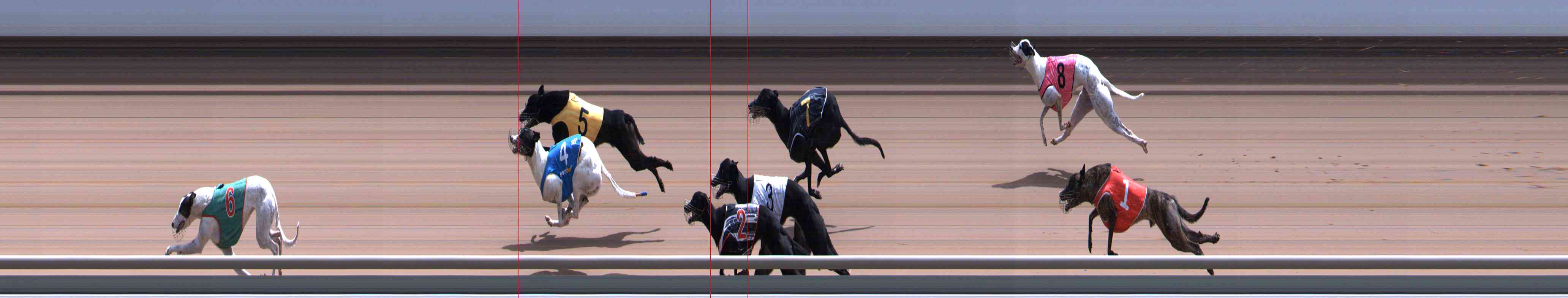 Photo finish for Healesville Race 12