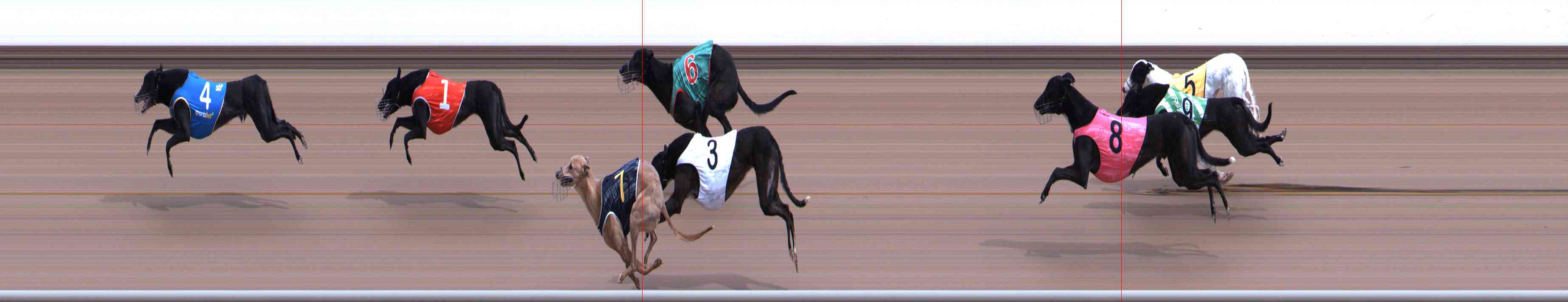 Photo finish for Healesville Race 3