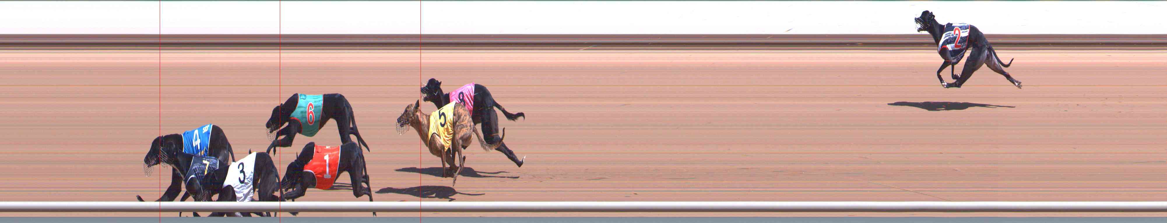 Photo finish for Healesville Race 4