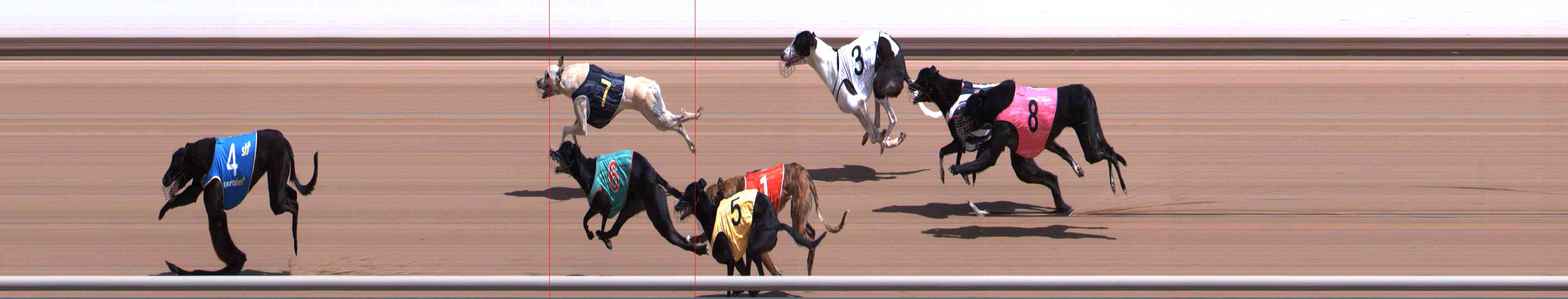Photo finish for Healesville Race 5