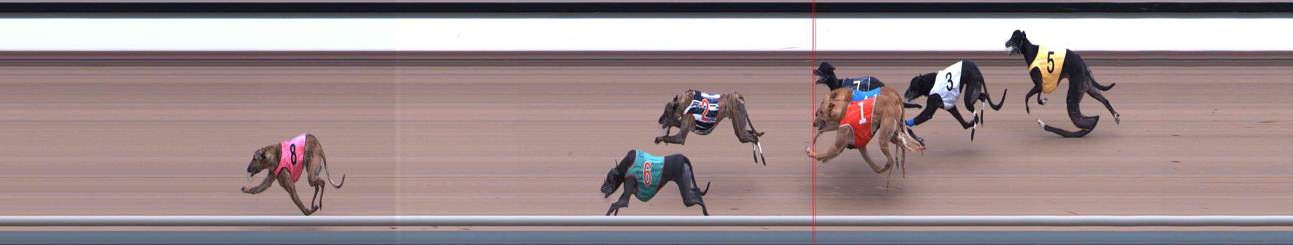 Photo finish for Healesville Race 6