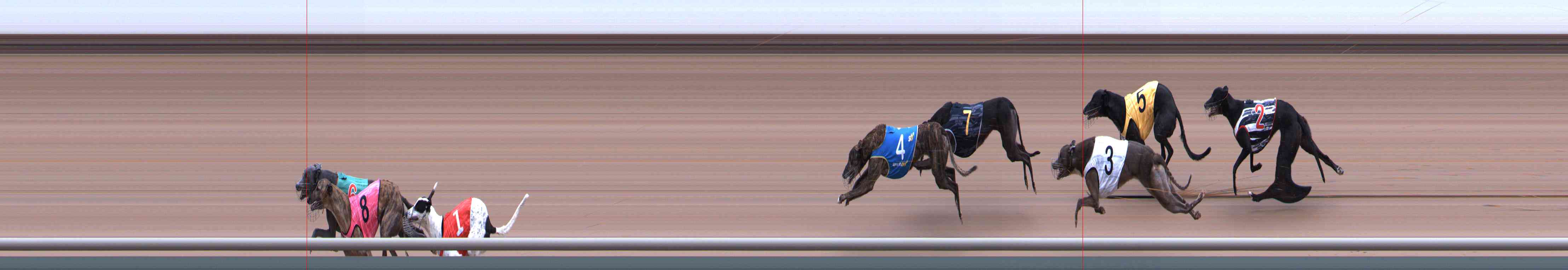 Photo finish for Healesville Race 7