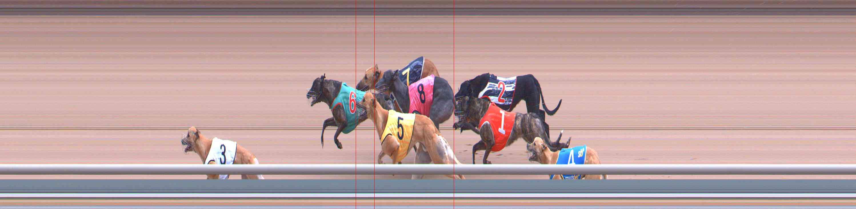 Photo finish for Healesville Race 8