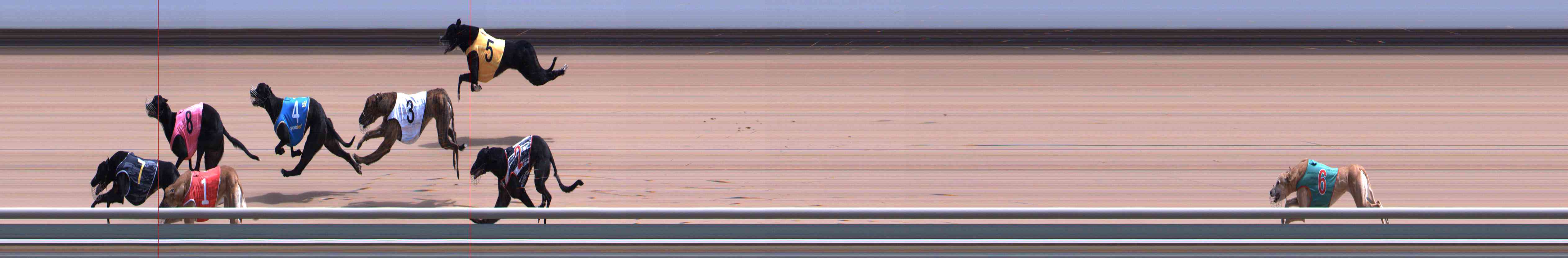 Photo finish for Healesville Race 9