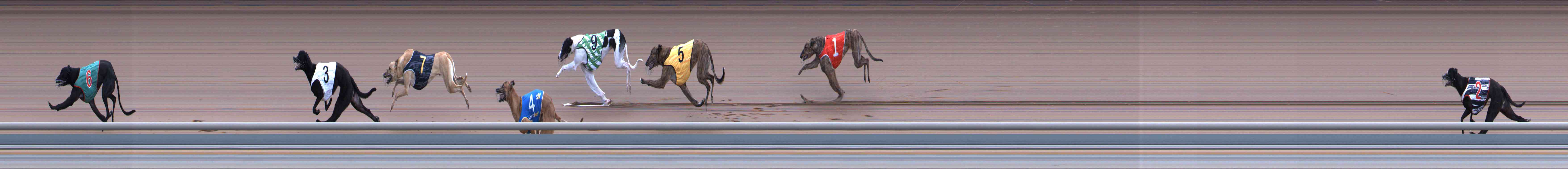 Photo finish for Healesville Race 1