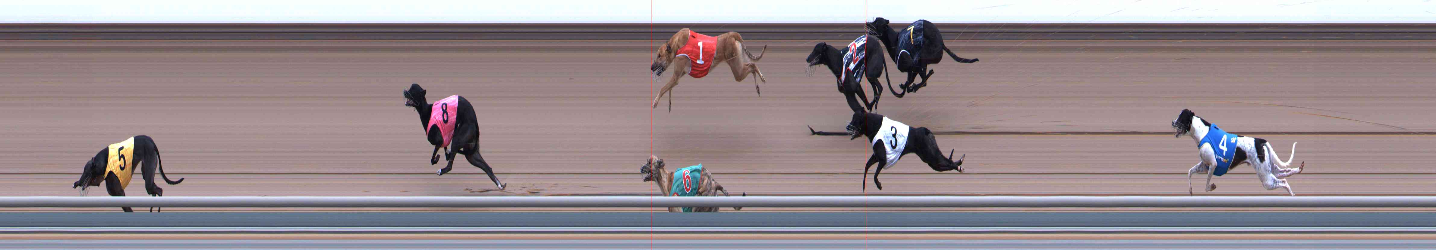 Photo finish for Healesville Race 2