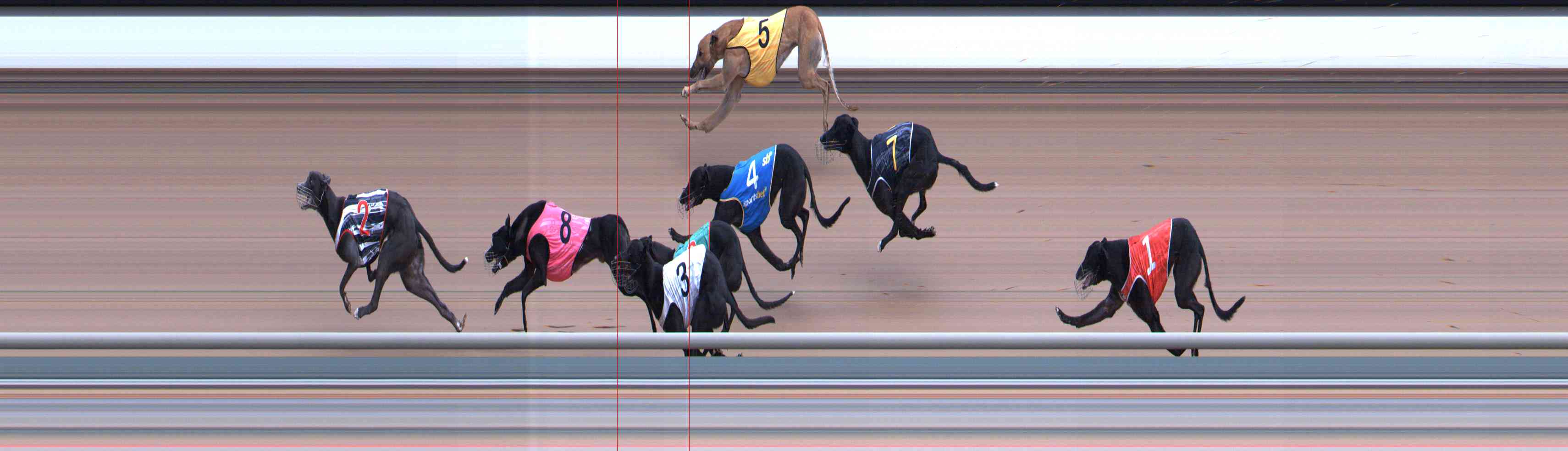 Photo finish for Healesville Race 3