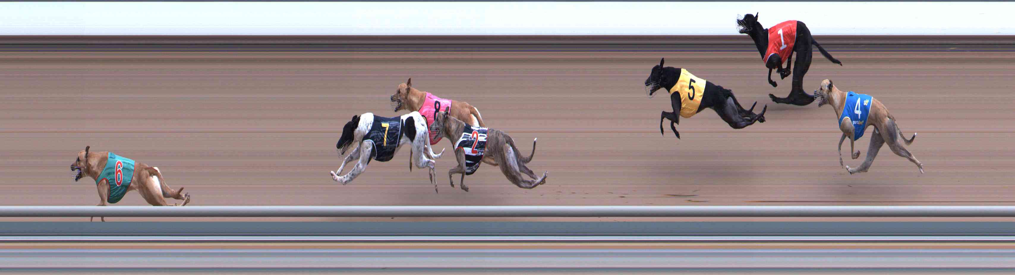 Photo finish for Healesville Race 5