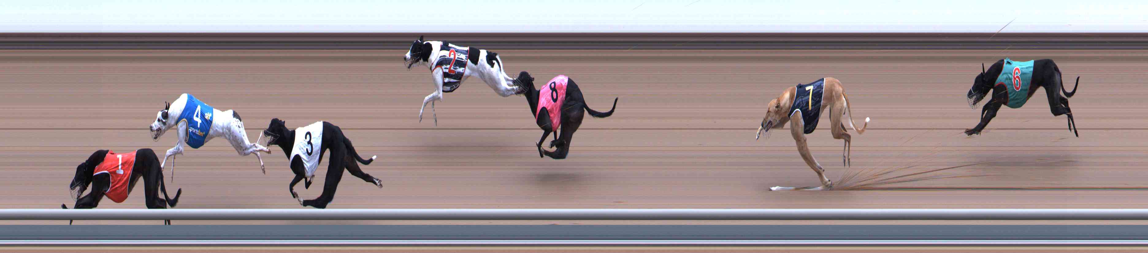 Photo finish for Healesville Race 6