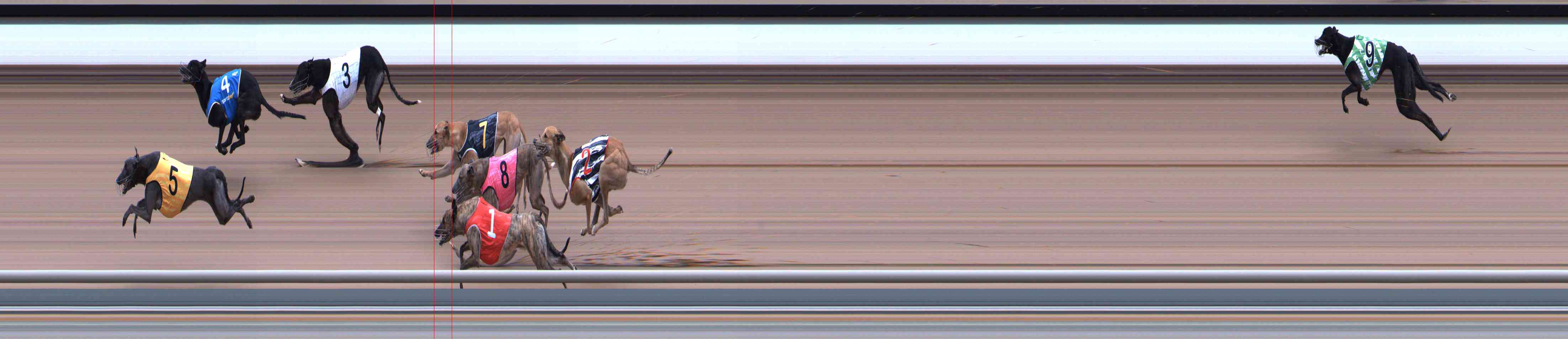Photo finish for Healesville Race 7