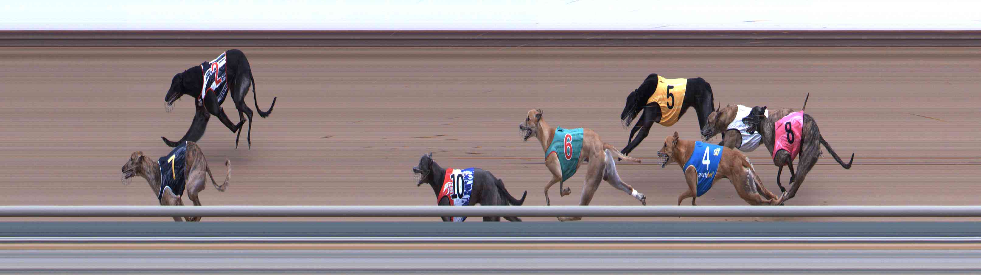 Photo finish for Healesville Race 9