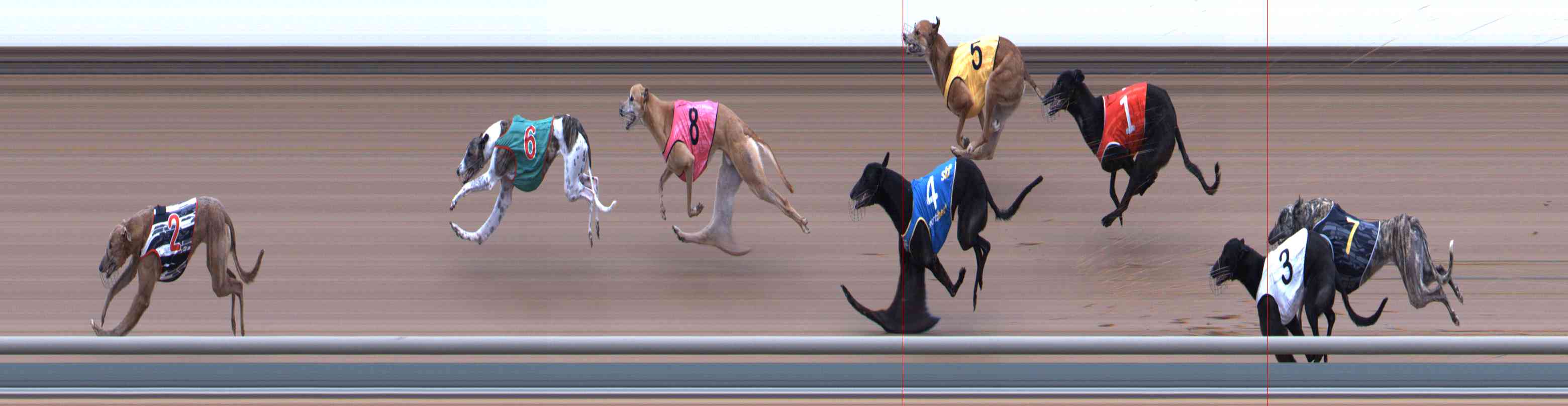 Photo finish for Healesville Race 10