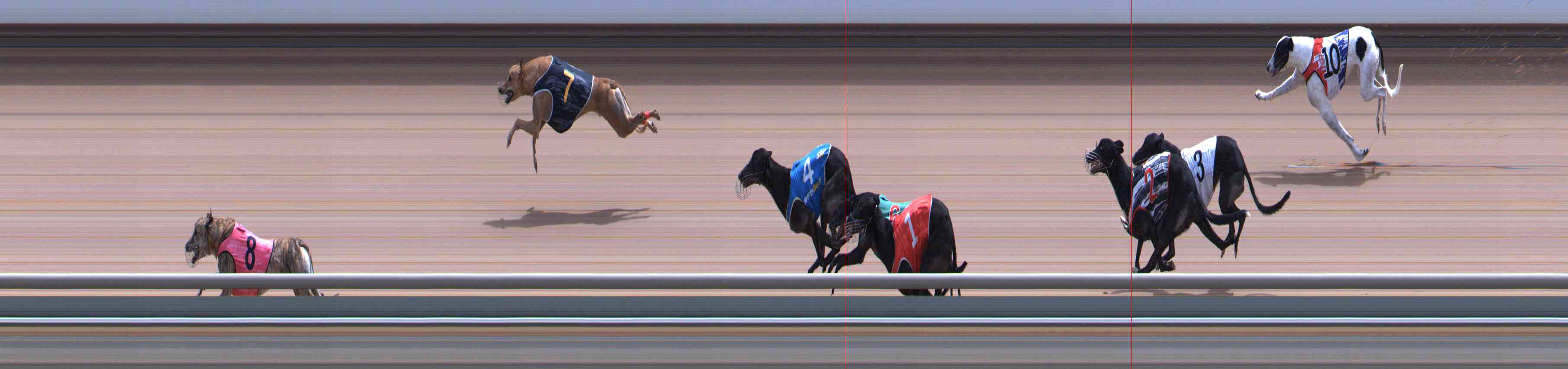 Photo finish for Healesville Race 11
