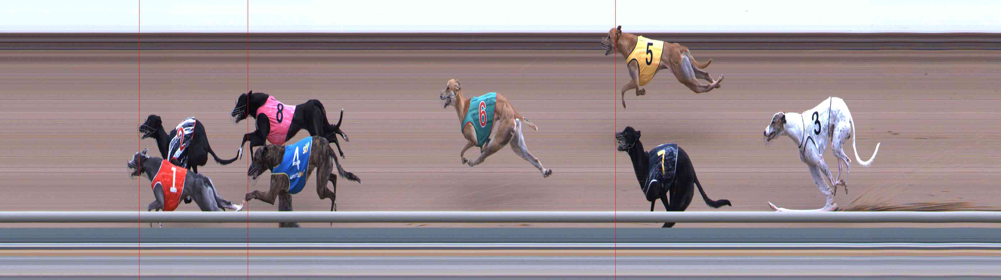 Photo finish for Healesville Race 12