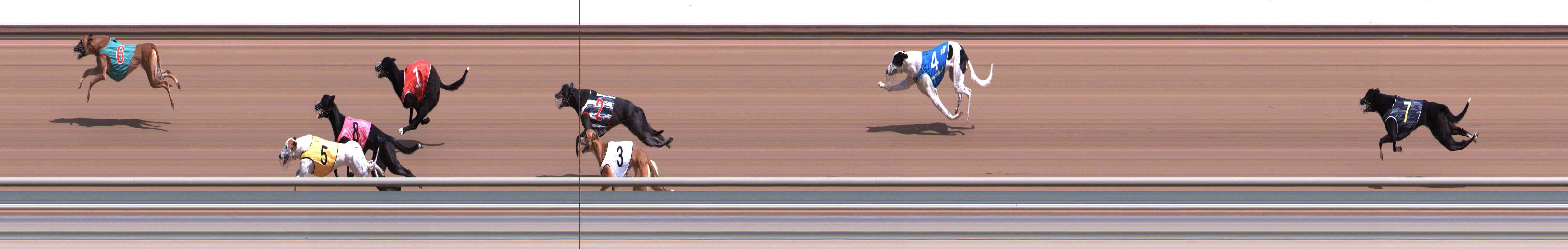 Photo finish for Healesville Race 1