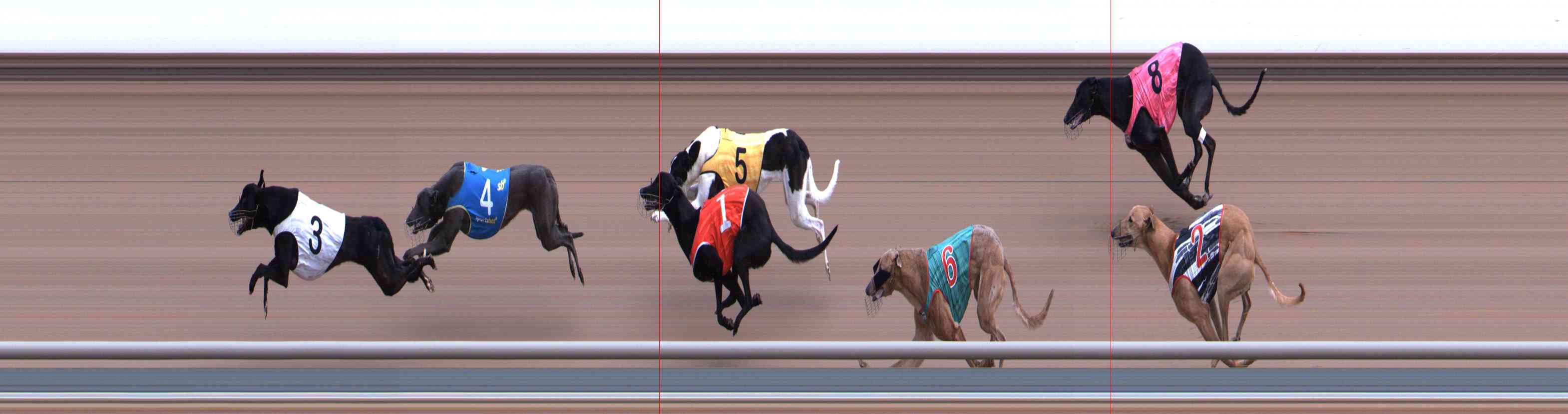Photo finish for Healesville Race 2