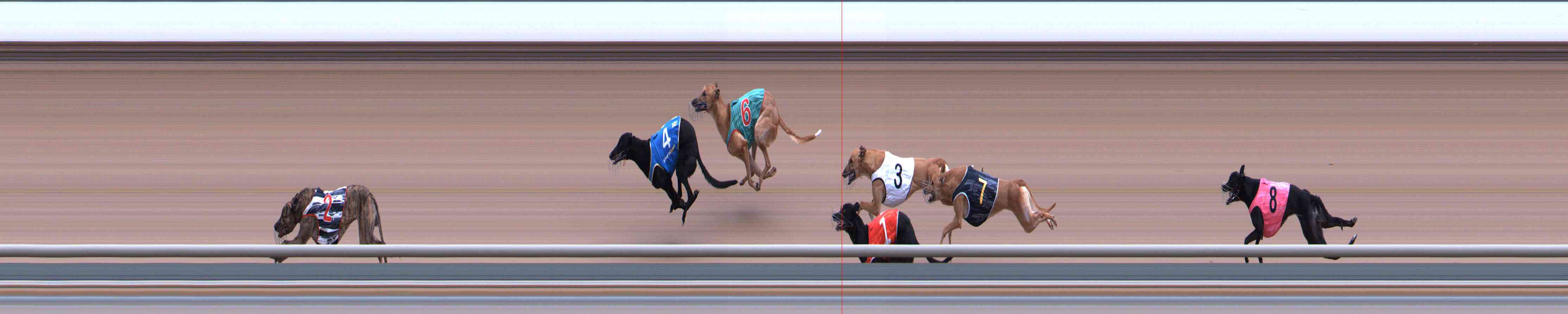Photo finish for Healesville Race 3