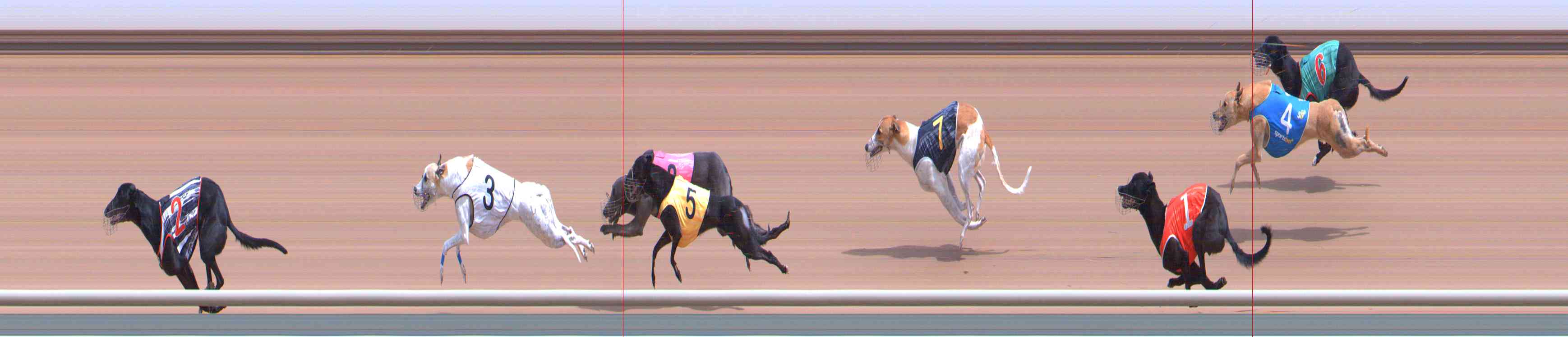 Photo finish for Healesville Race 4