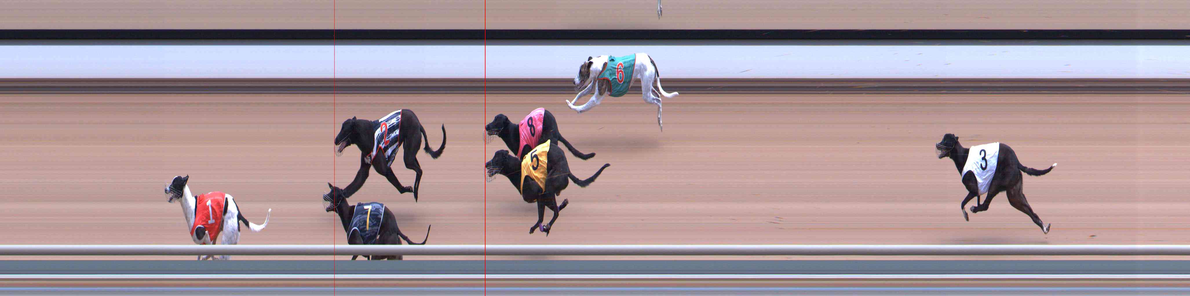 Photo finish for Healesville Race 5