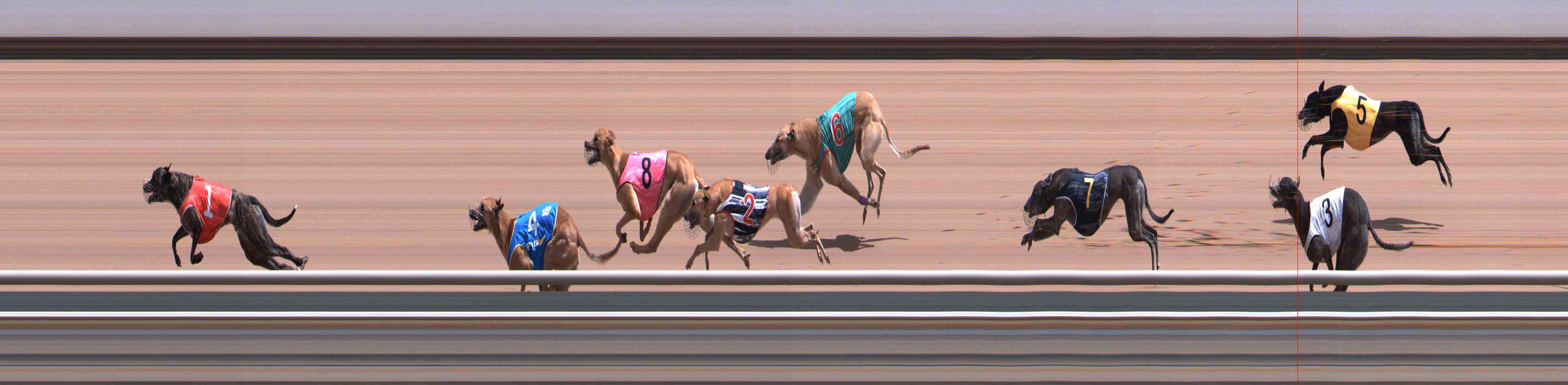 Photo finish for Healesville Race 6