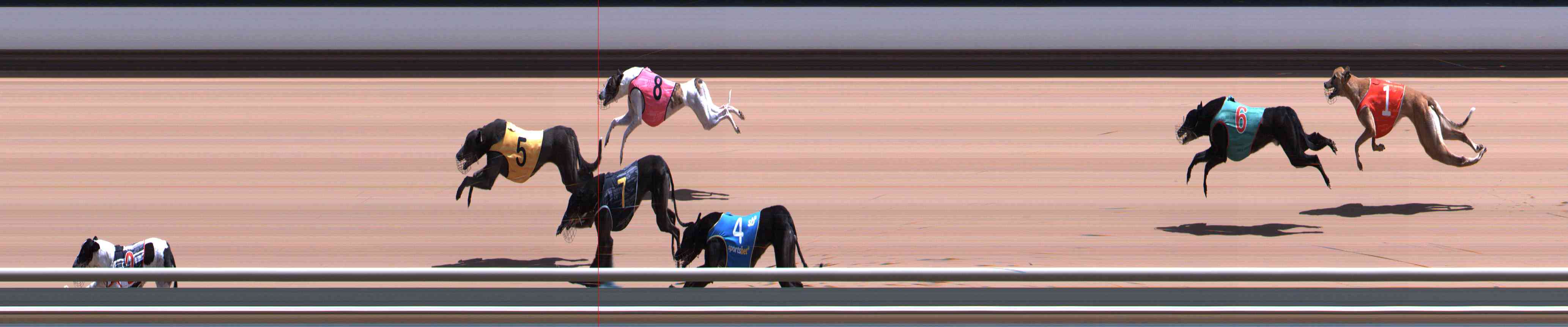 Photo finish for Healesville Race 7