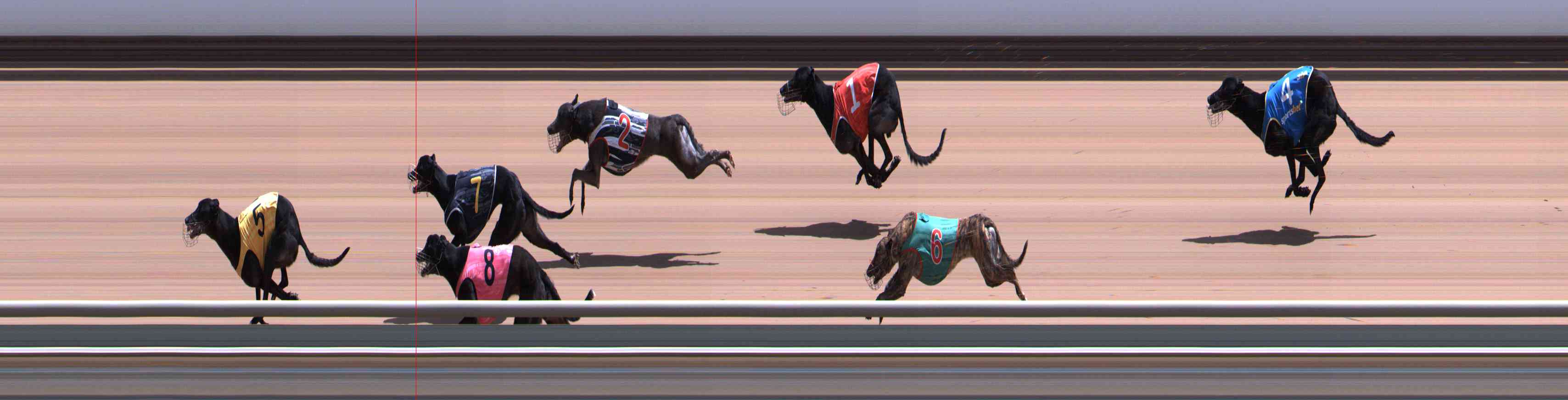 Photo finish for Healesville Race 8