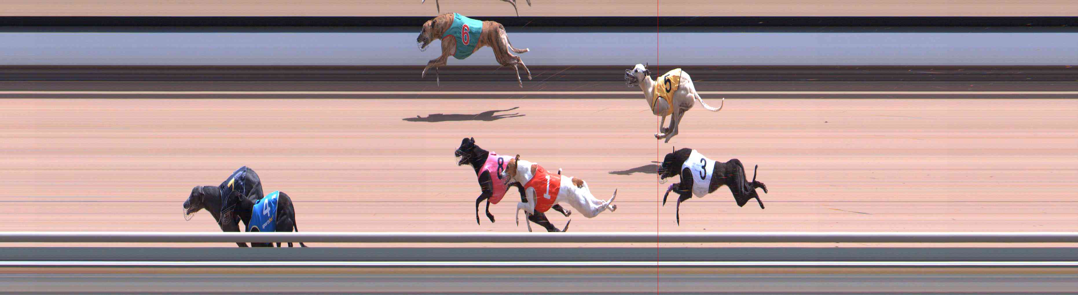 Photo finish for Healesville Race 9
