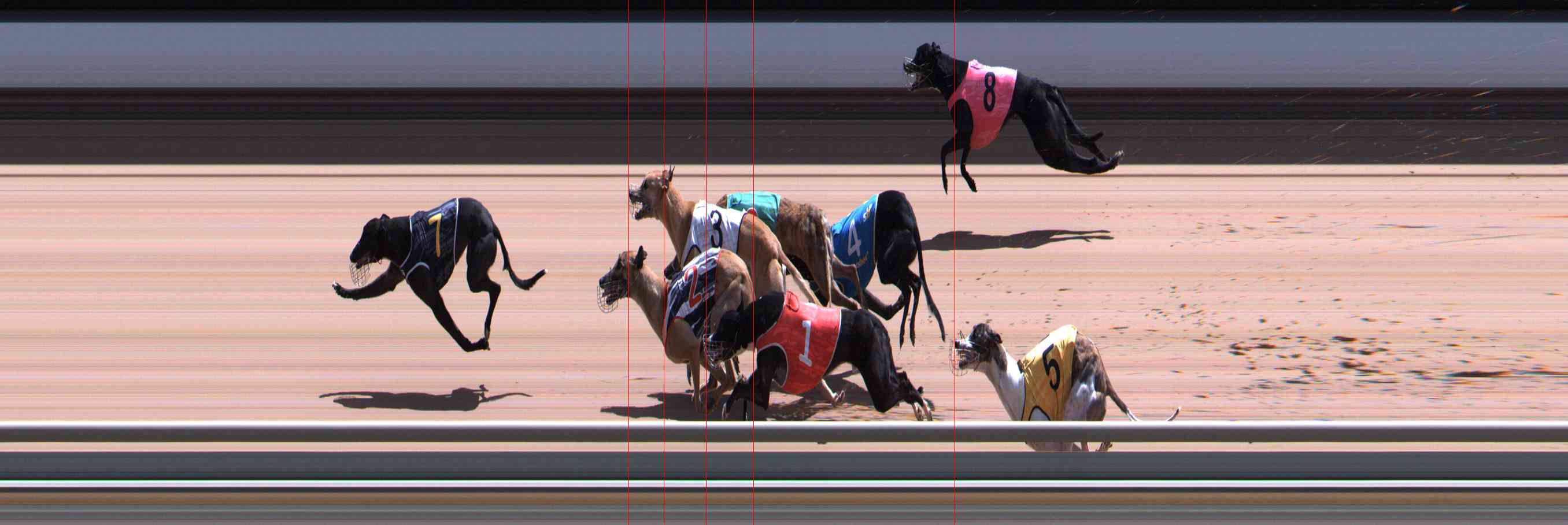 Photo finish for Healesville Race 11