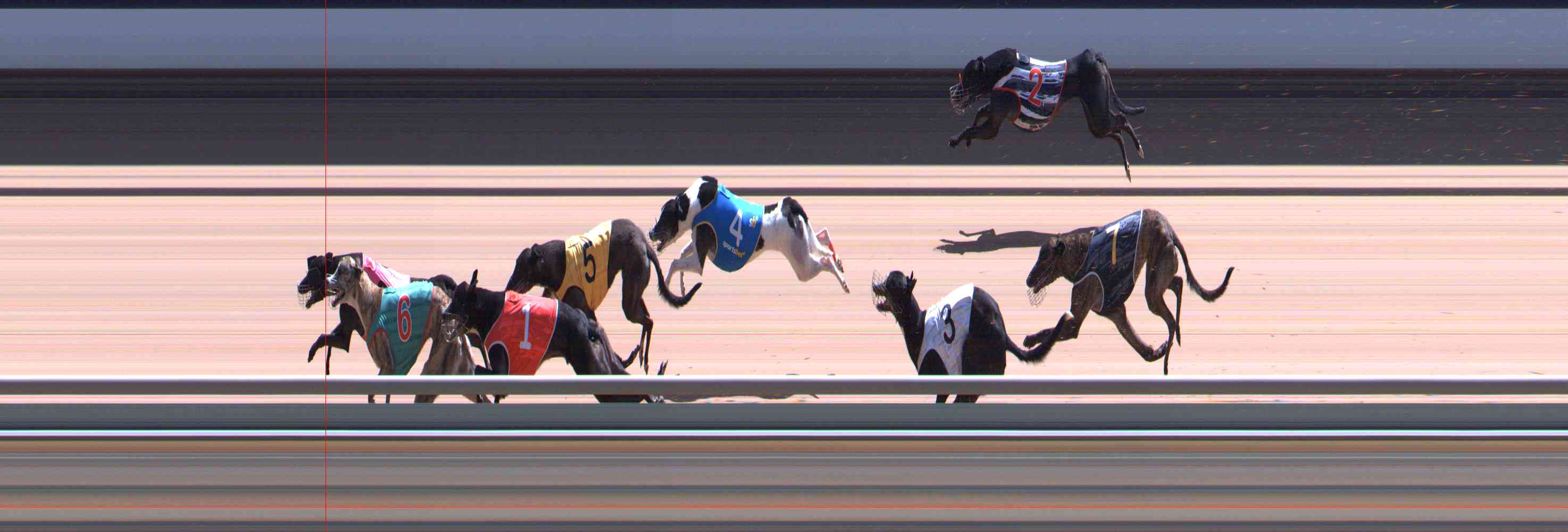 Photo finish for Healesville Race 12