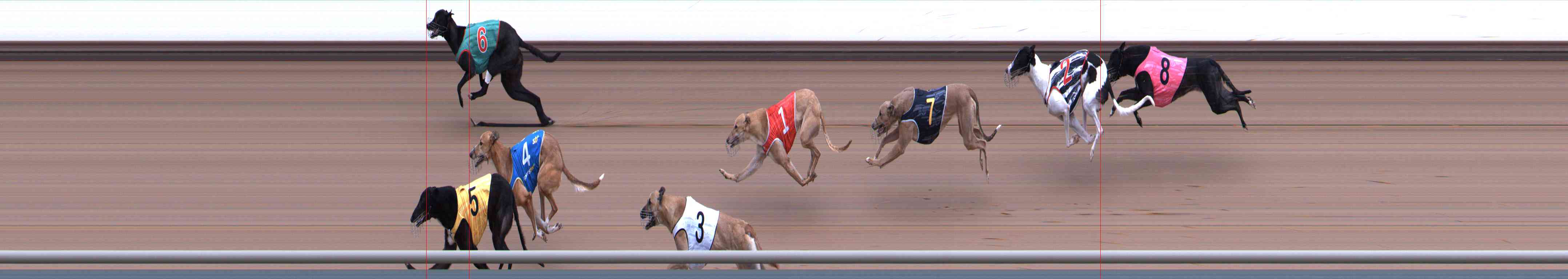 Photo finish for Healesville Race 1