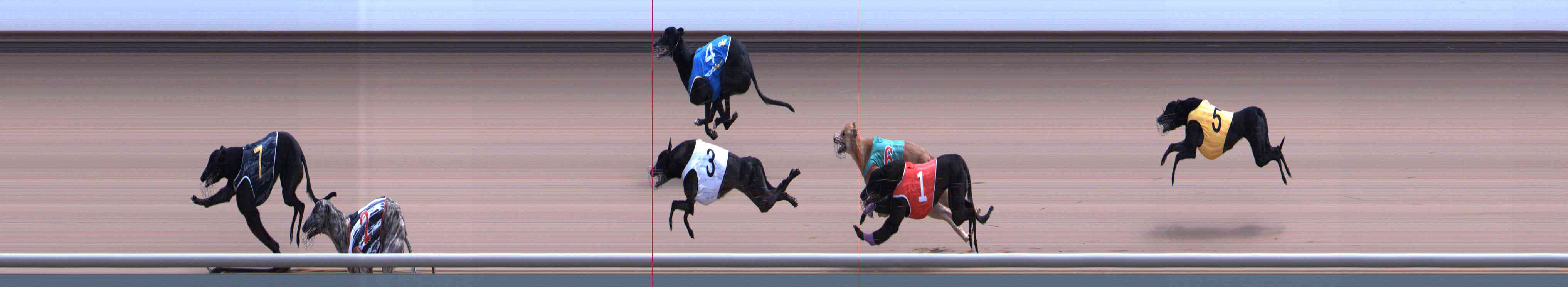 Photo finish for Healesville Race 10