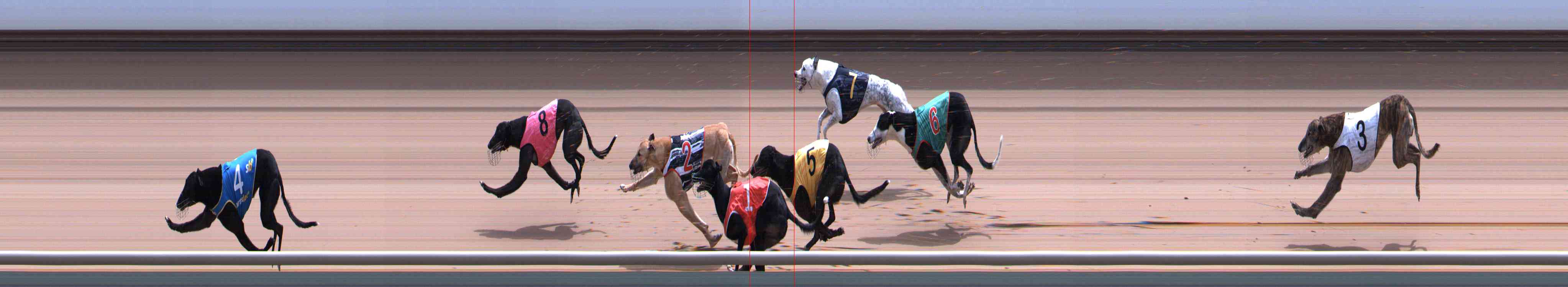 Photo finish for Healesville Race 11