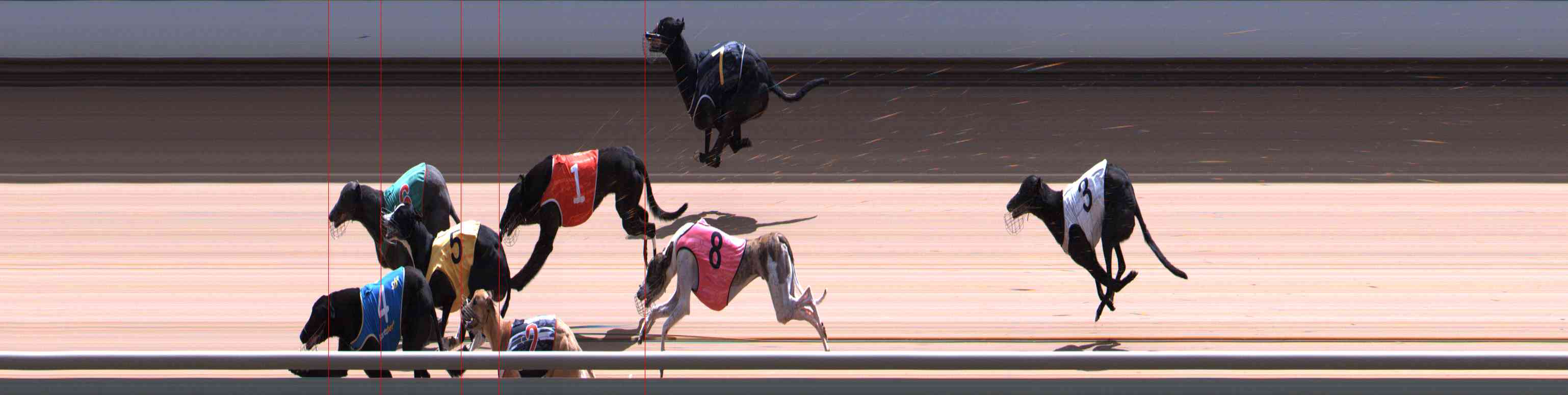 Photo finish for Healesville Race 12