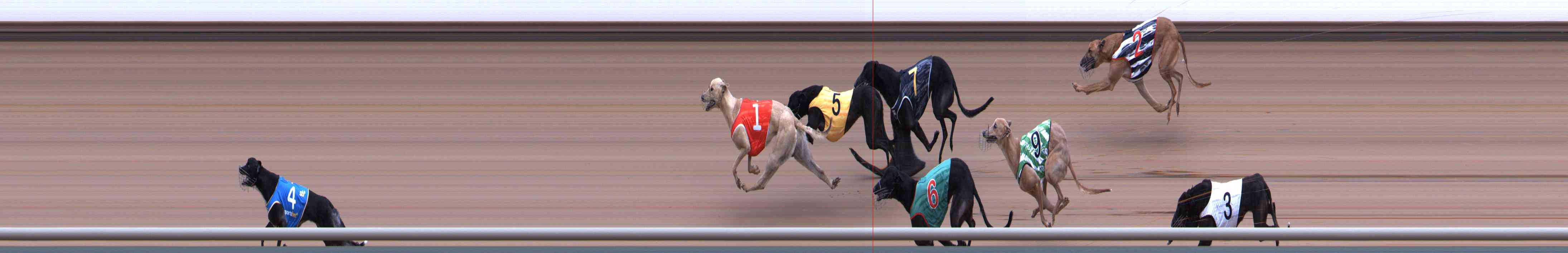 Photo finish for Healesville Race 2